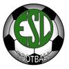 E.S. NOTRE DAME DES LANDES