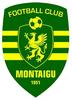MONTAIGU VENDEE FOOTBALL